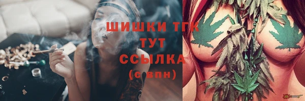 сатива Алексин
