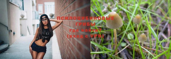 молекула духа Алексеевка