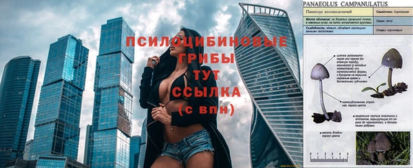 таблы Алзамай