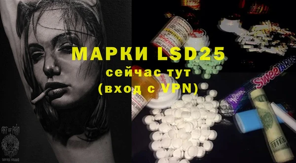 ГАЛЛЮЦИНОГЕННЫЕ ГРИБЫ Аркадак